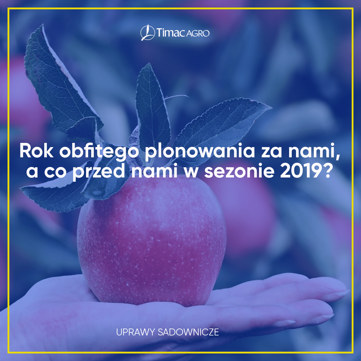 Rok obfitego planowania za nami a co przed nami sezonem 2019