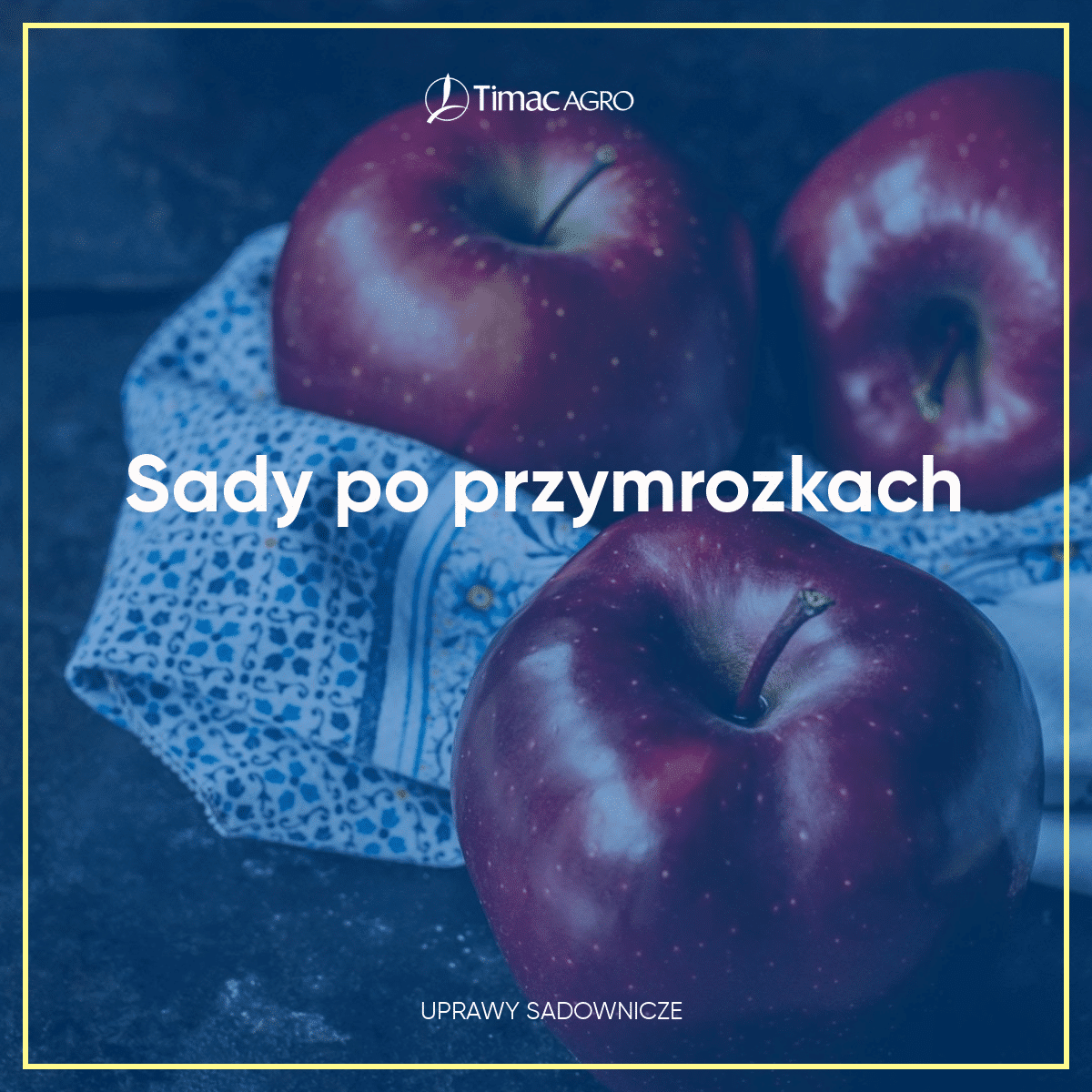 Sady po przymrozkach