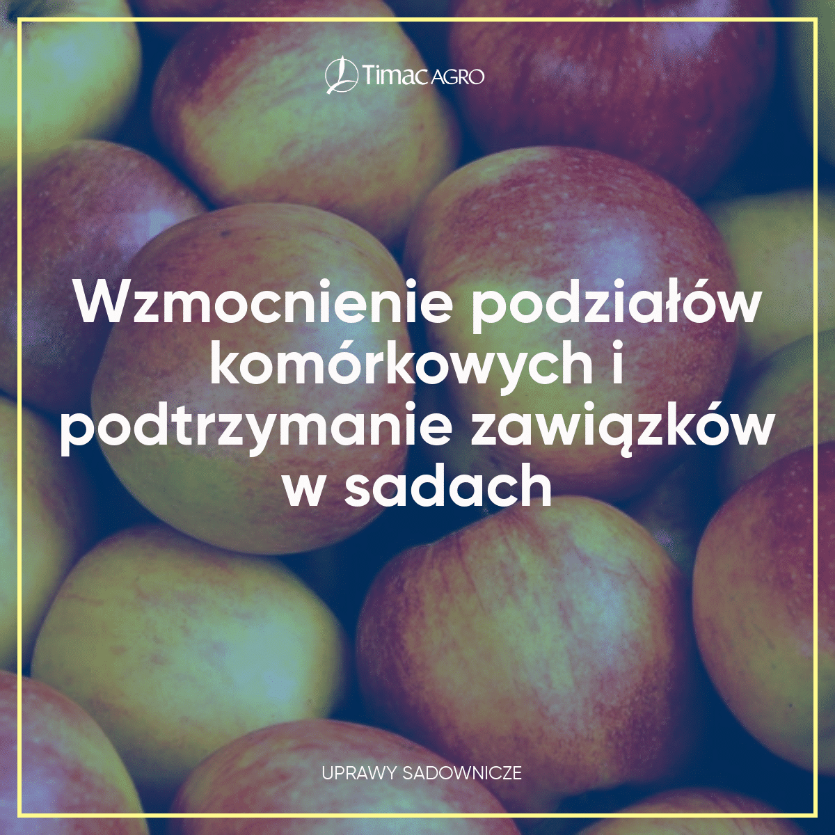 Wzmocnienie podziałów komórkowych i podtrzymanie związków w sadach