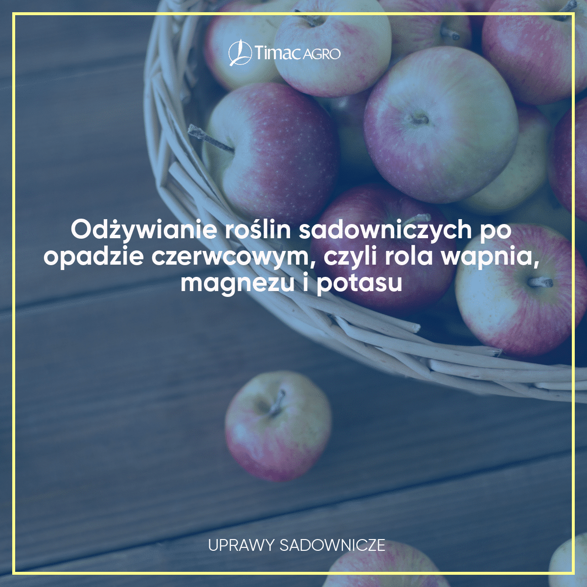 Odżywianie roślin sadowniczych po opadzie czerwcowym czyli rola wapnia magnezu i potasu