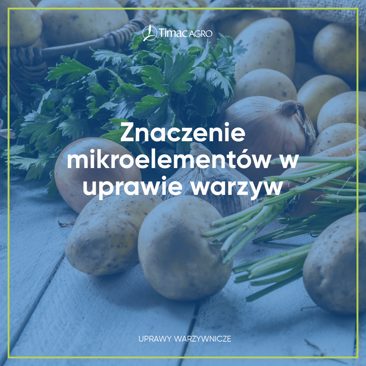 Znaczenie mikroelementów w uprawie warzyw