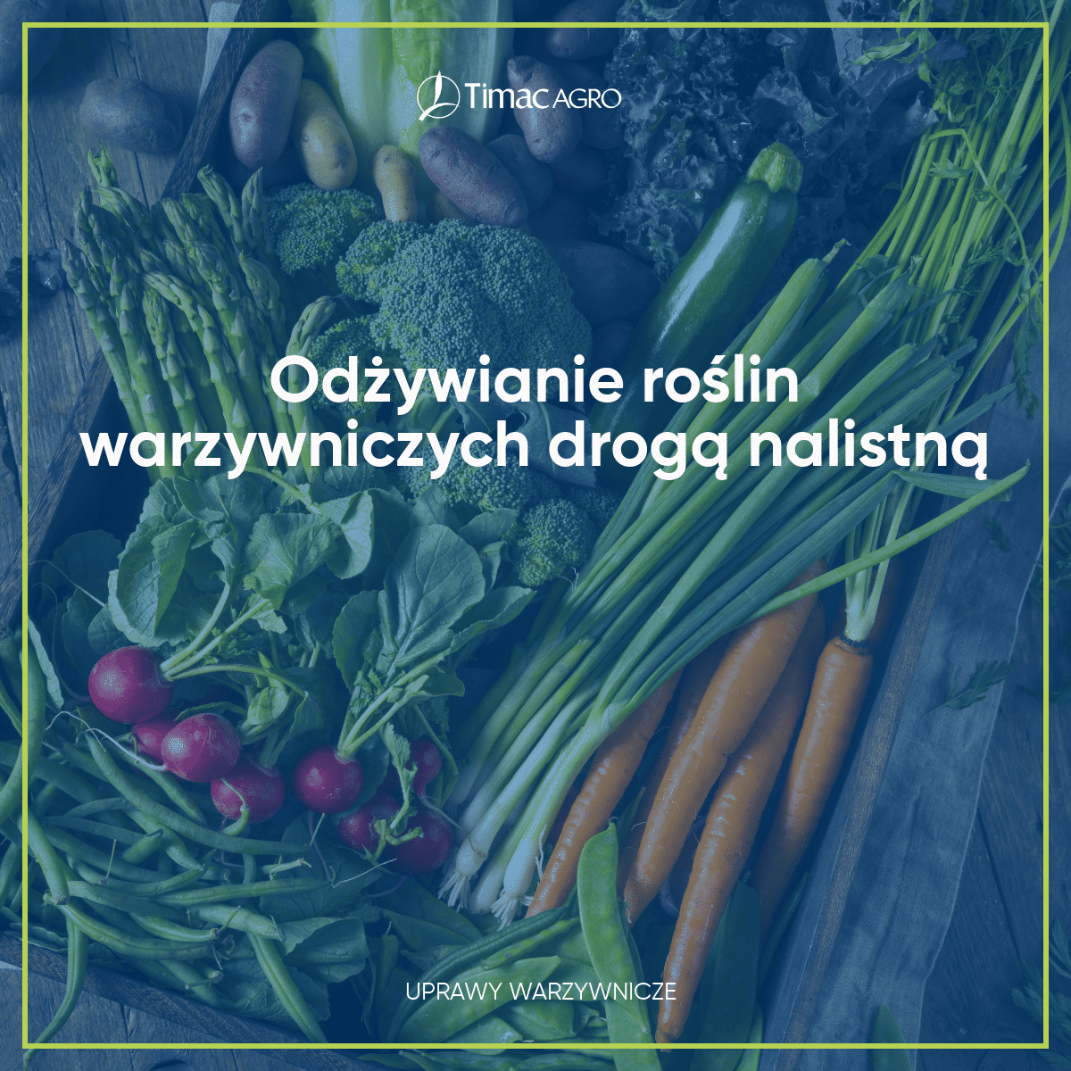 Odżywianie roślin warzywniczych drogą nalistną