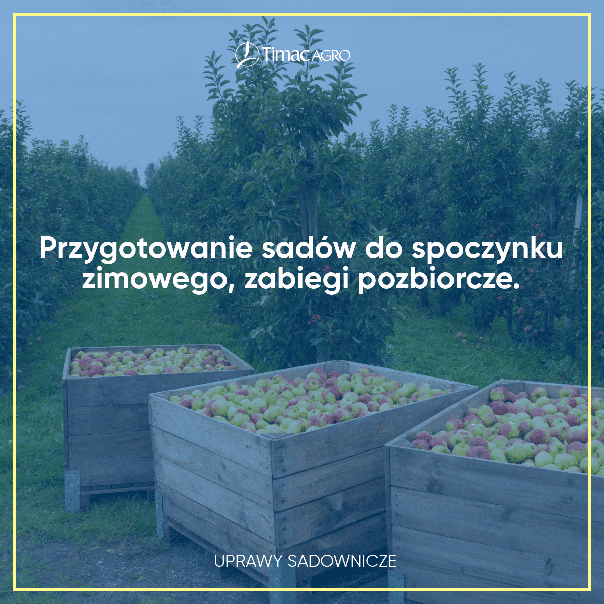 Przygotowanie sadów do spoczynku zimowego zabiegi pozbiorcze