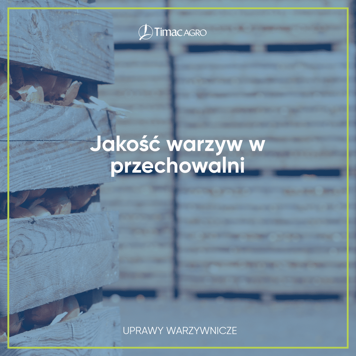 Jakość warzyw w przechowalni