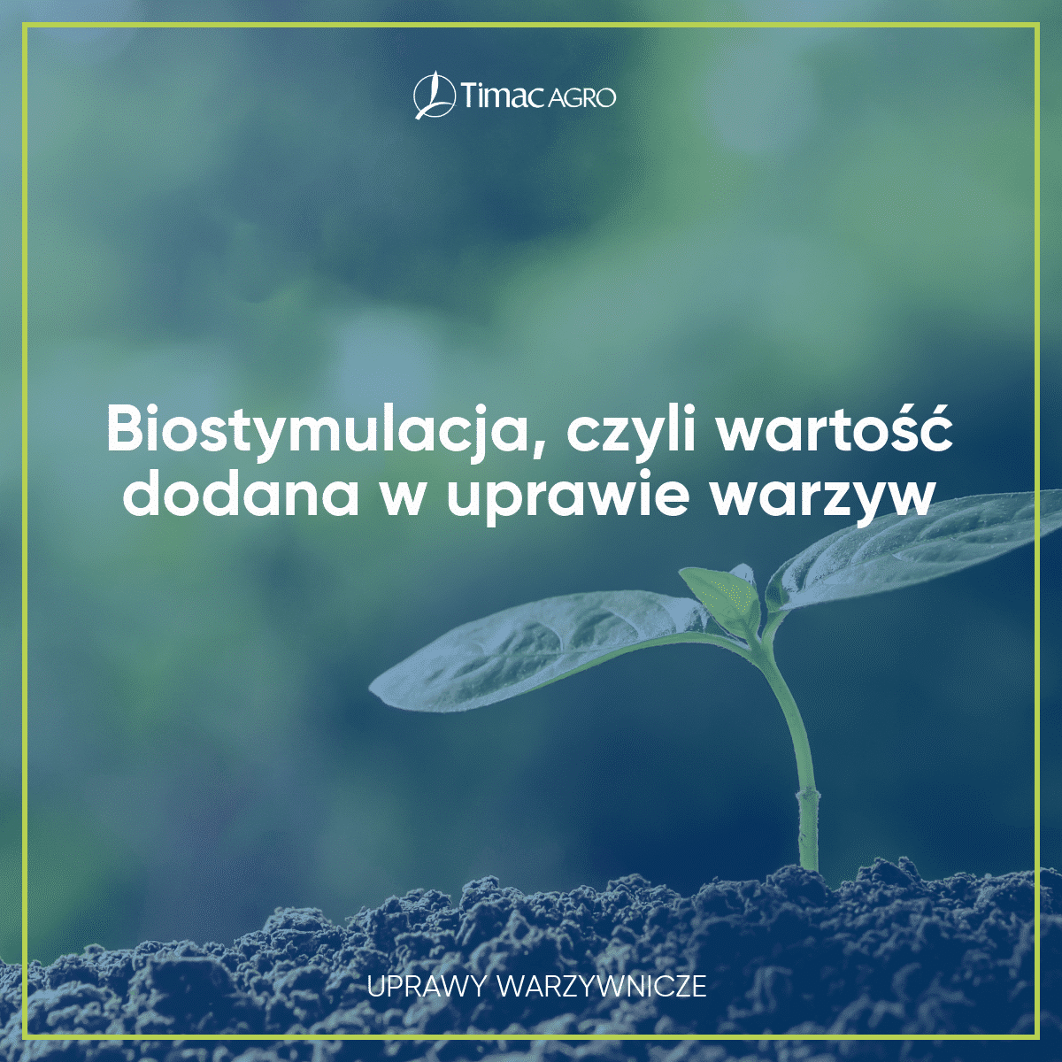 Biostymulacja czyli wartość dodana w uprawie warzyw
