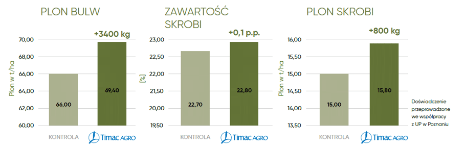 obraz2