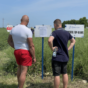 pokrowka klienci poletka
