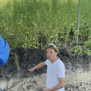 pokrowka odkrywka crop manager