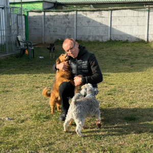 gaj pieski i pan grzegorz