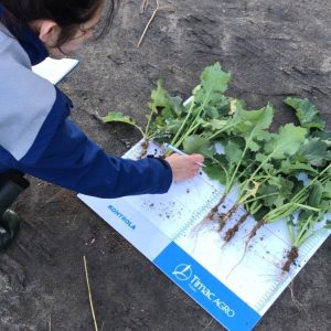 122529830 1752694828239822 6304656914911514813 n