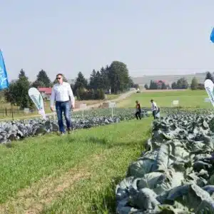 2016 chrzanickie dni kapusty