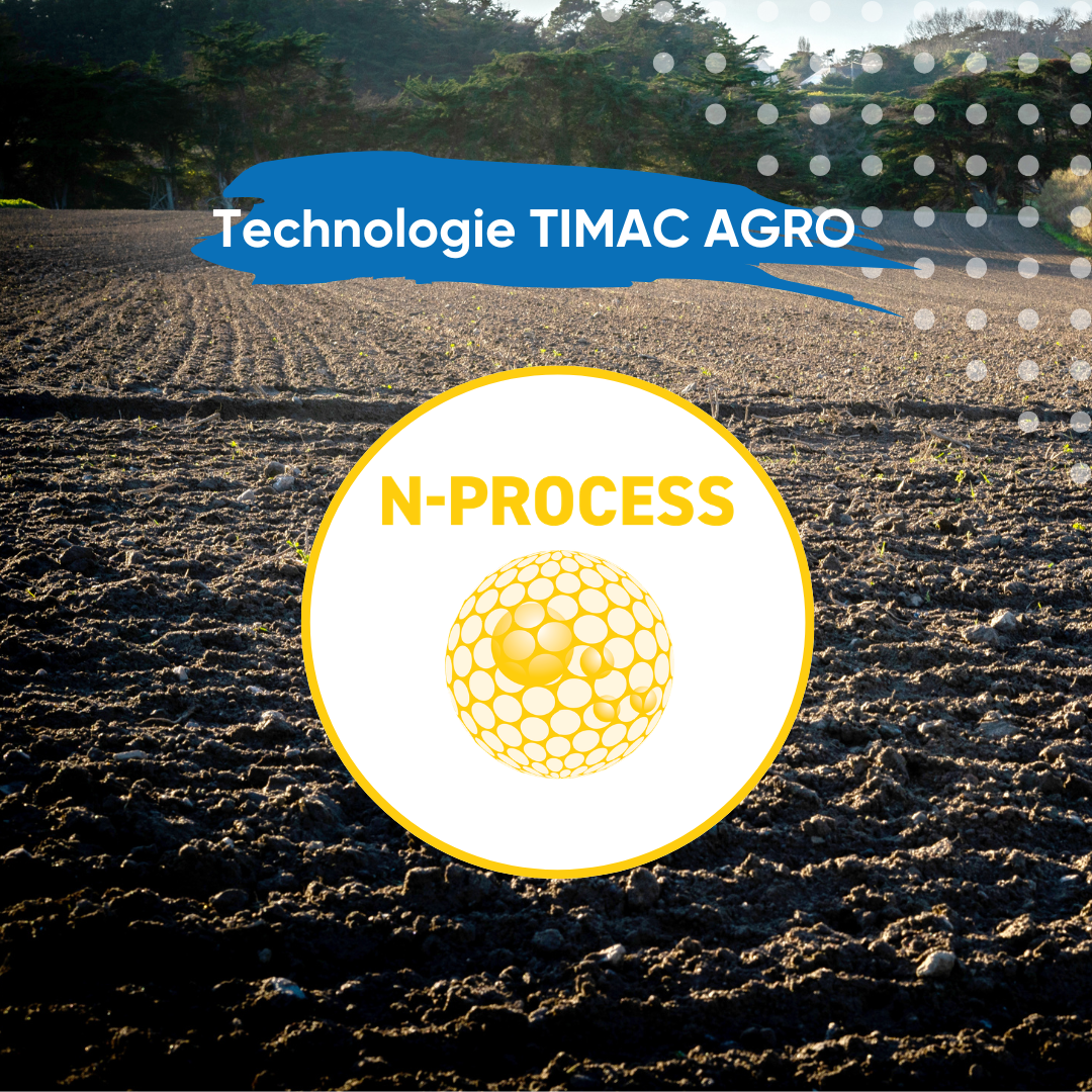technologia n process